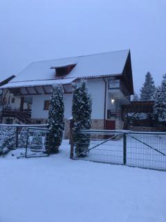 Casa dintre Brazi - Arieşeni - 0