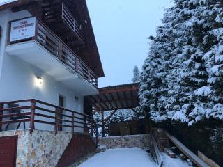 Casa dintre Brazi - Arieşeni - 7