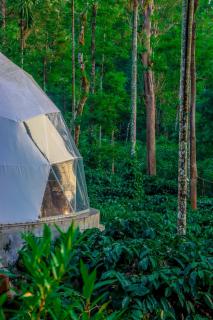 GeoLux - Luxurious Geodesic Dome - Chikmagalur - 8
