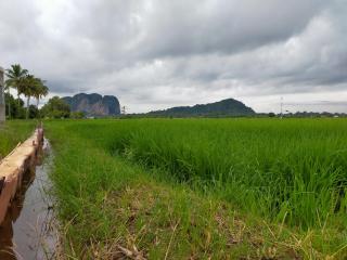 Roomstay - Kangar - 3