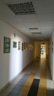 Ostello Ipsia - San Benedetto del Tronto - 8