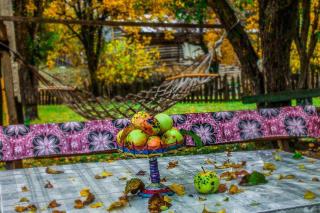 Iamze's Guest House - 6