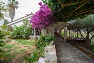 Farm Villa Dova - Diliso - 9