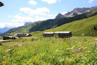 Hotel Adler - Warth - 3