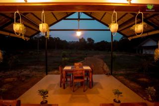 Wild Kasarwadi - 0