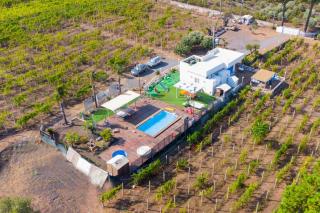 Tenuta sul Vesuvio " Il Vigneto " - Terzigno - 4