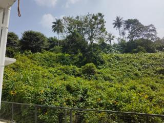 GREEN FIELDS Apartments - Mananthavady - 5