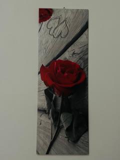 APPARTAMENTO Exclusive - 0