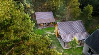 Zagajnik Białowieża - 4