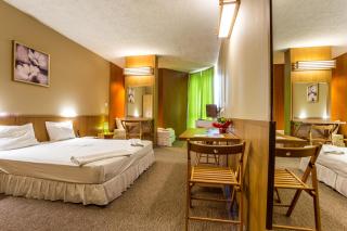 Art Hotel Simona - Sofia - 1