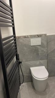 ROYAL MILANO LINATE APARTMENTS - Pantigliate - 1
