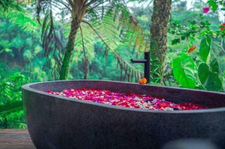 Taro Villas - Penginyahan - 1