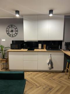 Apartament Rose Valley Dwa Zero - Szczytna - 9