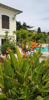 Villa de charme centre Cannes au calme - Cannes - 1