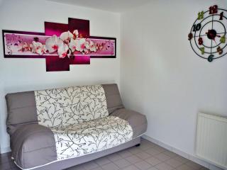 Appartement en Rez-de-Jardin Proche Plage avec Terrasse et Confort Moderne - FR-1-387-54 - Marseillan - 7