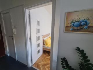 Apartman Zlatovo Stan Na Dan - Požarevac - 3