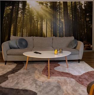 Cozy guesthouse in Slussfors, Swedish Lapland - Slussfors - 6