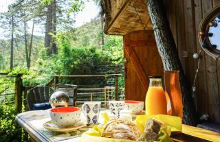 La Cabane du Bandit - - 5