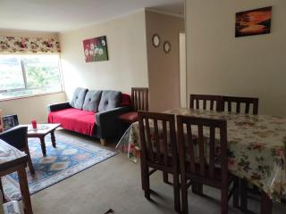 DEPARTAMENTO COSTANERA PELLUCO, PUERTO MONTT - Puerto Montt - 3