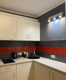 Cat Garden Family Apartments Riga - 9