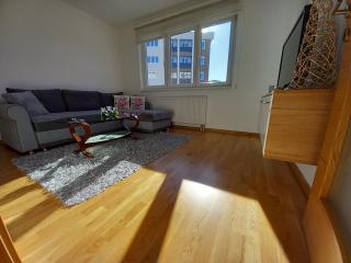 Apartman Jovana Pale - Pale - 4
