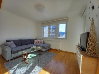 Apartman Jovana Pale - Pale - 5