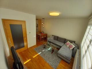 Apartman Jovana Pale - Pale - 2