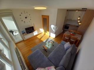 Apartman Jovana Pale - Pale - 8