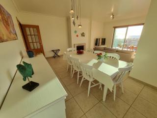 Quinta das Rosas - Beach and Mountain apartment - Buarcos - 2