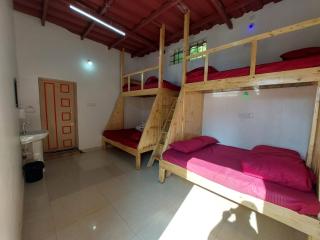 Silver Cloud Eco Stay - Attigundi - 4