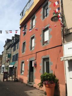 Joli appartement calme à Binic dans rue piétonne - Binic - 0