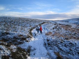 Cissy's Cottage - Hawes - 7