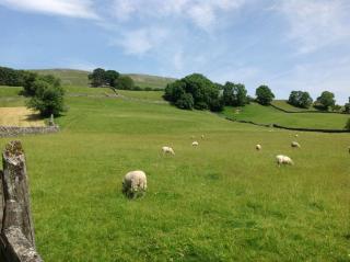 Cissy's Cottage - Hawes - 4