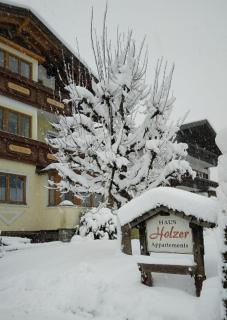 Haus Holzer - Dorfgastein - 3