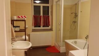 Ferienwohnung Rosie - Chemnitz - 9