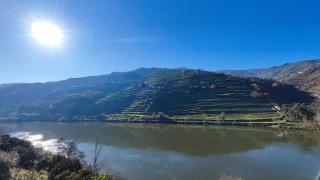 The River House - 1