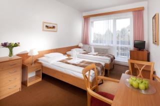 Penzion Hubert Františkovy Lázně - Franzensbad - 8