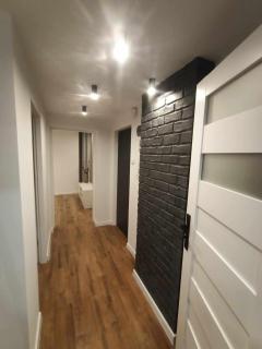 Apartament na Krakowskiej 15 - Dębica - 0