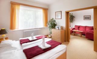 Penzion Hubert Františkovy Lázně - Franzensbad - 7