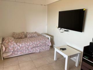 Departamento excelente vista al mar frente al golf (Alem) - Mar del Plata - 4