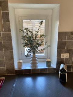 La maison des Petits Robins - 4