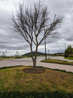 Habitación privada con litera - 6