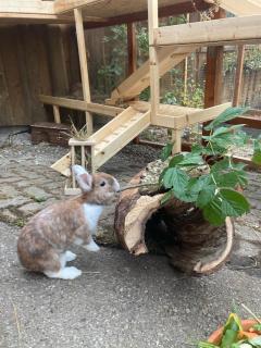 Ferienhaus FRIEDLHOF - 8