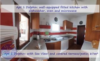 CASA LAS PLAYITAS -CLP- BEST SEA VIEW - In 1 Minute Ocean - Las Playitas - 4