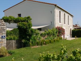 Gîte de caractère au cœur des vignes avec jardin, vélos et équipements bébé - FR-1-306-796 - Châteauthébaud - 9