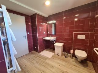 Longère Berrichonne rénovée, proche golf et base nautique, jardin clos, équipements sportifs à 100 m - FR-1-591-362 - Le Magny - 6