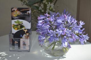 City Escape Taroona - 7