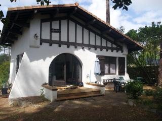 Maison landaise avec jardin au cœur des Abatilles, proche golf et plages - Arcachon - FR-1-319-383 - Arcachon - 0