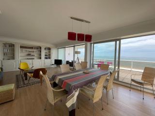 Appartement 4 chambres au dernier étage avec immense terrasse face au Bassin à Arcachon - FR-1-420-122 - Arcachon - 3