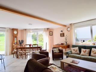 Charmante maison familiale, animaux admis, parking, chauffage au sol, poêle à granulés - FR-1-498-93 - 4